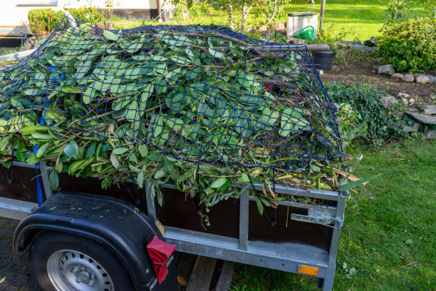  Waterloo, NE Junk Removal Services Pros